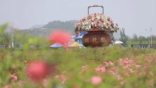 王家磨村|《我的桃花源》今晚22:12播出 带你玩转房山京郊美景