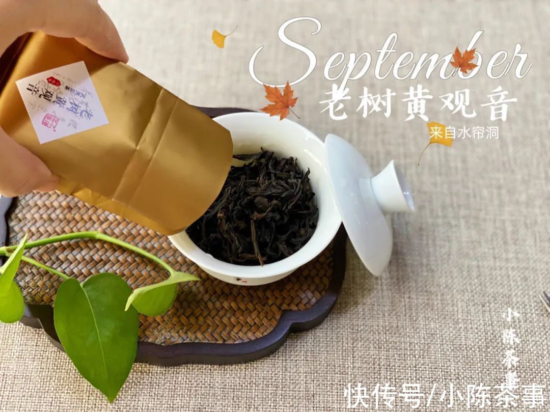 黄观音|老树黄观音，优雅花香包在稠滑茶汤里，既重香又重水的完美之作