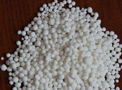 啤酒水,蚯蚓粪养花都不算什么,这种“万能花肥”养一盆旺一盆!