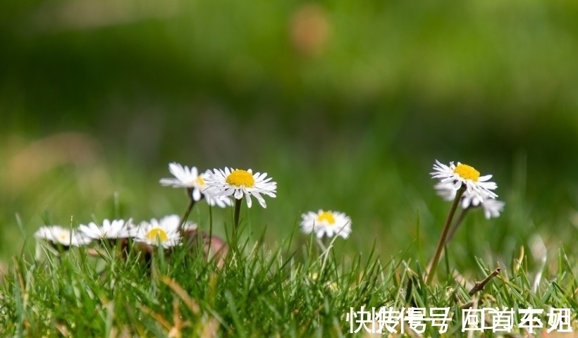 天后|20天后,桃花涌来,桃花不断,爱火复燃,乞求复合,从此深陷其中