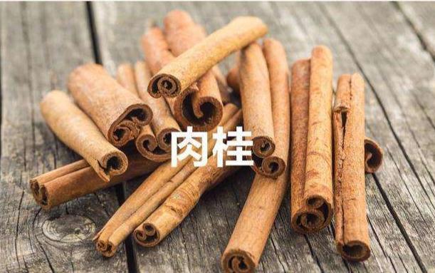 肉桂是什么树的树皮,它是一种什么样的植物?