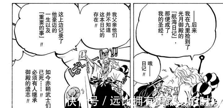 喬伊波伊|從海賊王1016話漫畫看看大和追求的自由和性取向