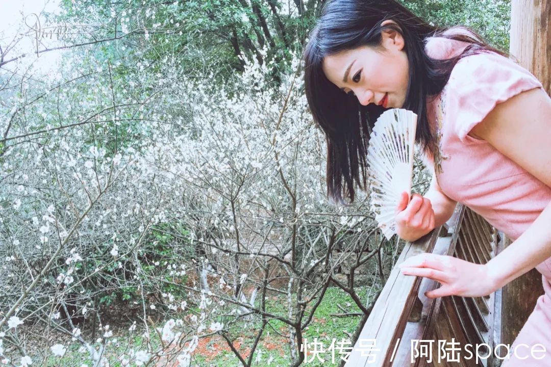 探梅|这个时节到灵峰探梅的人很多，其实越往里走越安静，更适合拍照
