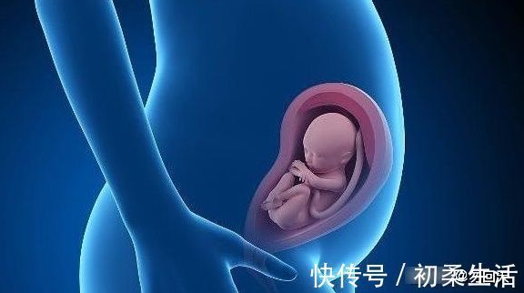 熬夜玩手机|怀孕期间,你熬夜玩手机时,胎儿在干什么?或许你该看一看!