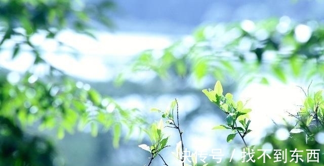 五绝|李商隐一首经典五绝《天涯》,无一字不唯美,无一字不伤悲