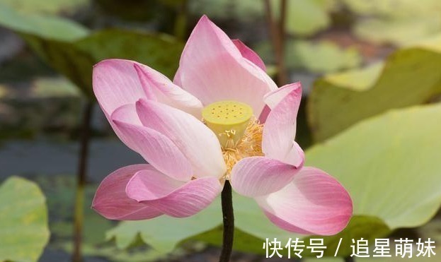 贾父!人算不如天算,看这个故事,明白了“天道”的规律