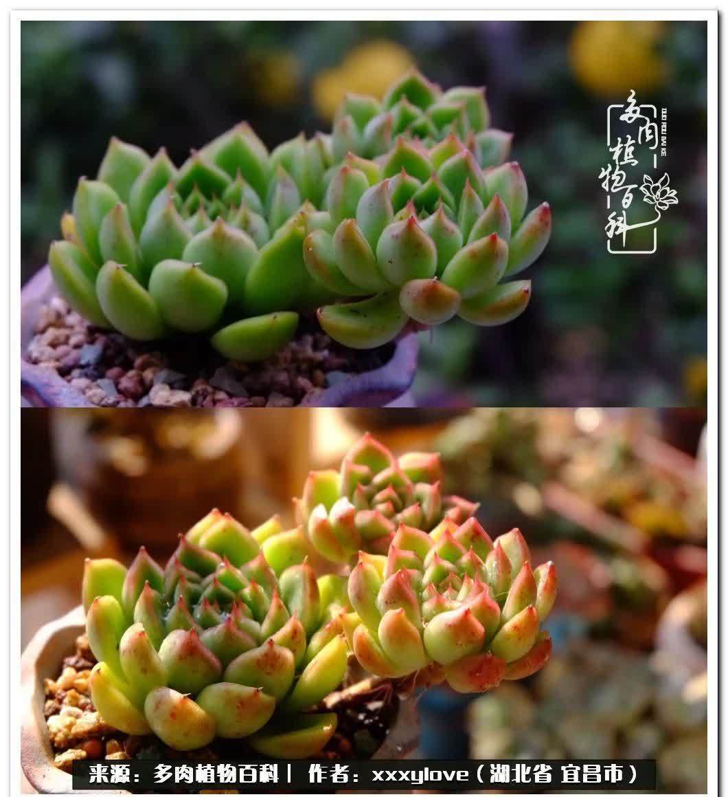 时光匆匆,一闪而逝,这世间万物的美,都值得被记录!