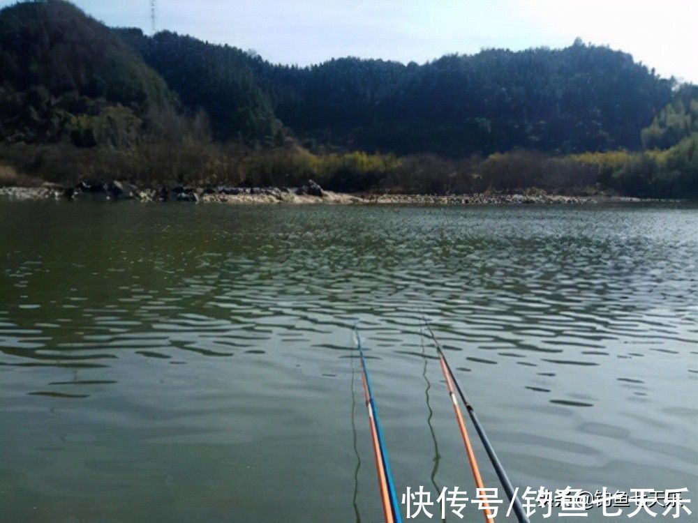 冬钓该如何用饵？几个要点掌握好了，渔获自然不是问题