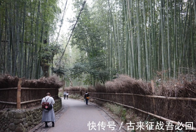 技艺|竹海飞人8岁爬竹子,年过半百仍在竹上行走,今无人传承境地尴尬