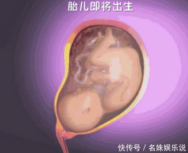 子宫|宝宝是如何出生的?那么小的口那么大的娃,看完还觉得生娃简单吗