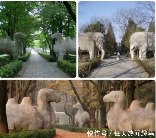 吃货南京行,四天三夜尝遍南京美食,好吃的绝不止鸭血粉丝汤