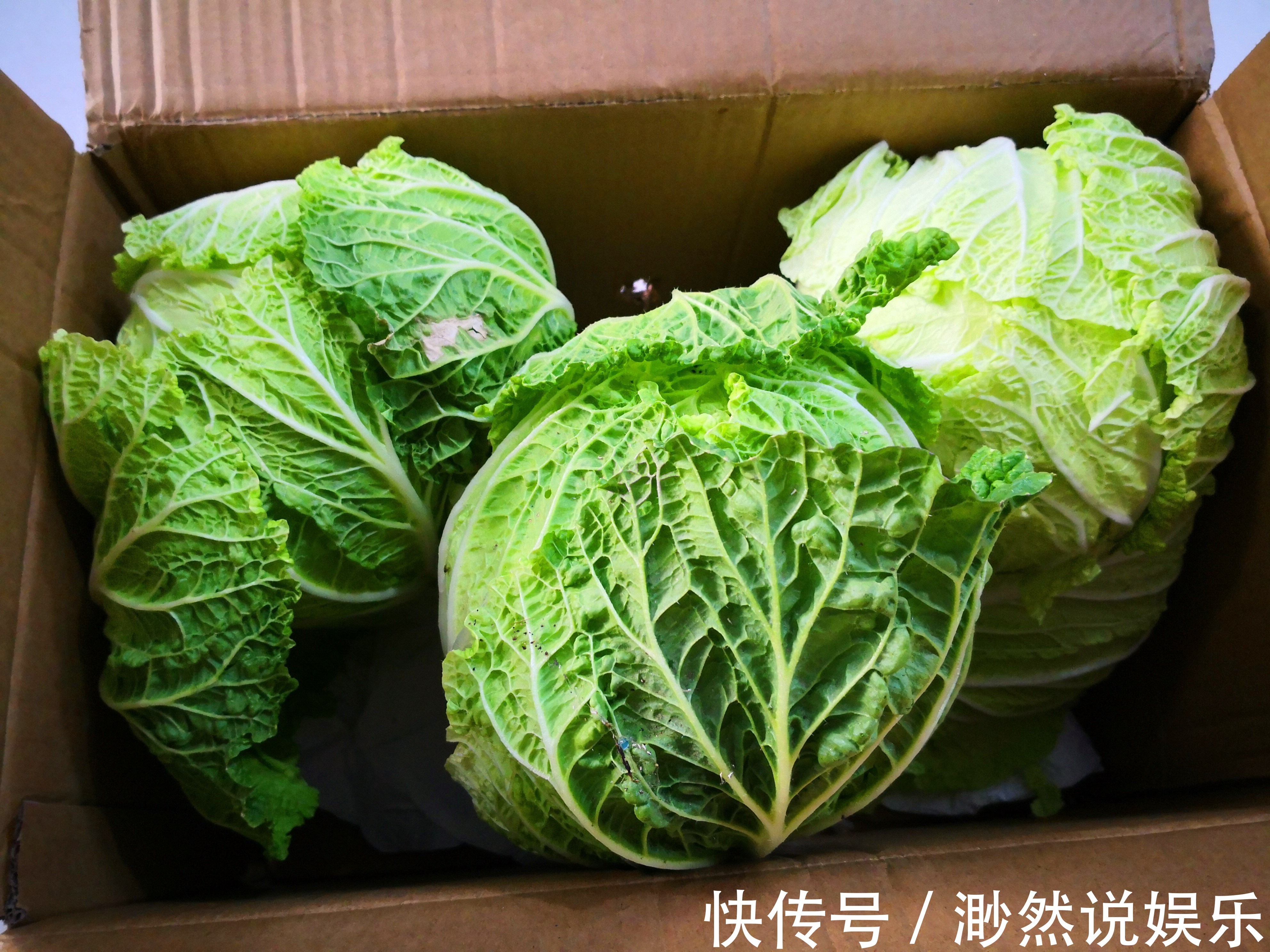 不管是保存萝卜还是白菜,学会此方法,放一冬天都新鲜,特方便!