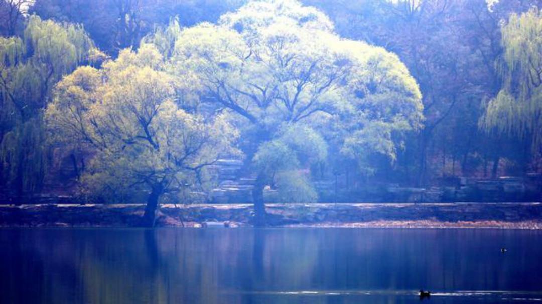 暗用|裴迪一首很有趣的诗,通篇构思巧妙暗用典故,寓意深远很有韵味