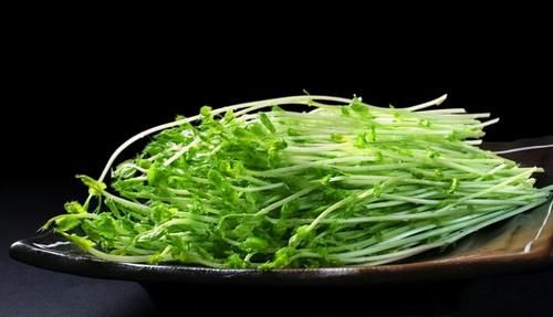 豌豆苗|吃了不后悔的食物，推荐给你，美容养颜，减肥瘦身，气色更红润