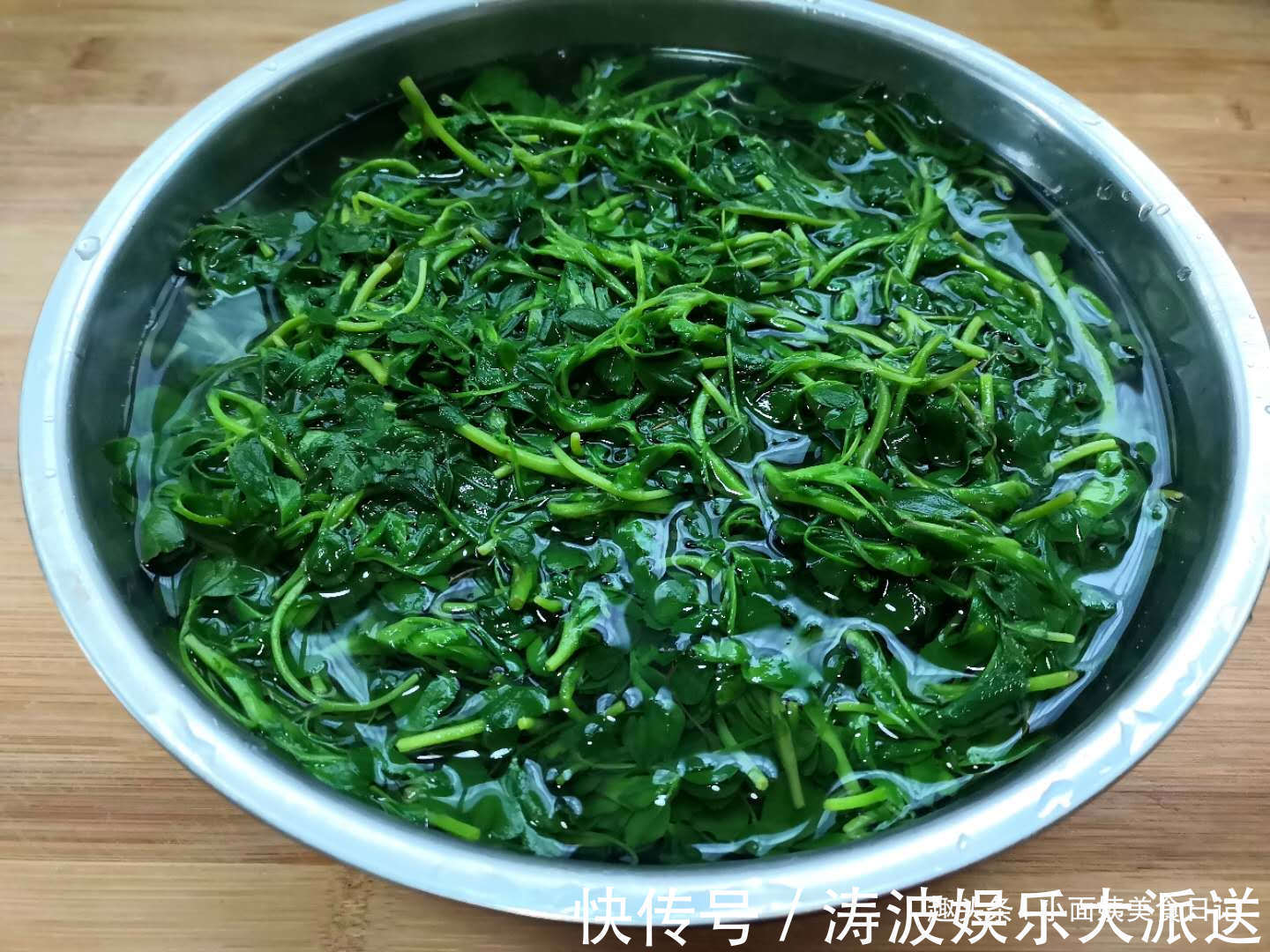 3月这菜是个宝,半个月就老了,包饺子最好吃,清香多汁又营养!