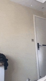 |搞笑GIF趣图当我拿到这一副牌，我顿时就知道怎么玩了！