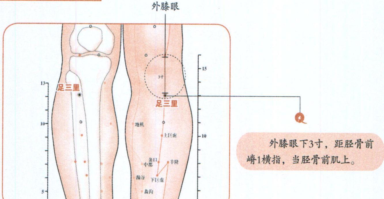 脸上出现3种症状？可能是脾虚！用天价护肤品都不如养养脾