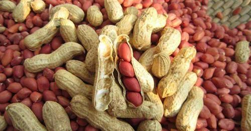 女性怕老得快，堅持吃的食物，皮膚光潔，延緩衰老，預防黑色素