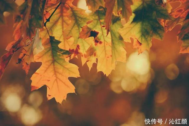 面对|了不起的免疫力,了不起的你