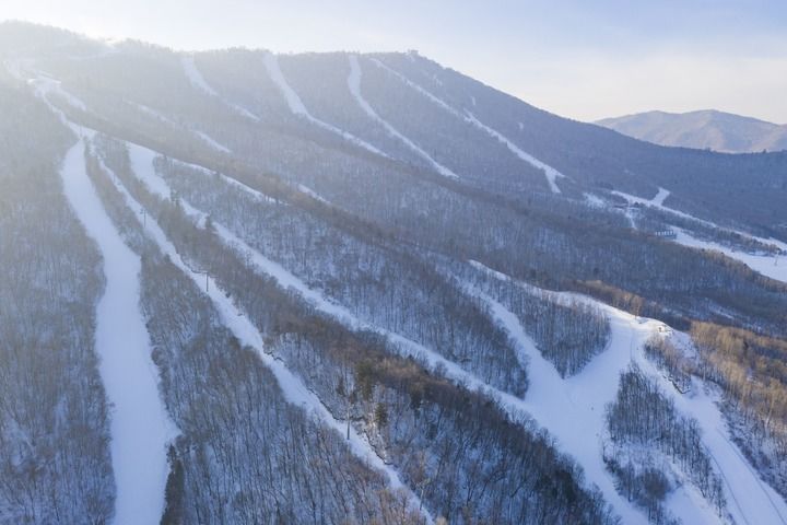 冰雪运动|冰天雪地是这样变成金山银山的——来自黑龙江的冰雪产业发展报告