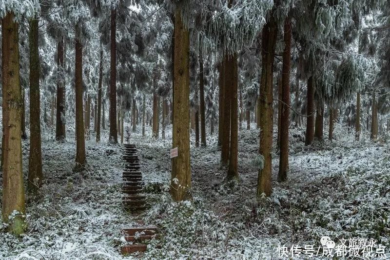 林海雪原|想看“林海雪原”，不用去东北，叙永就有