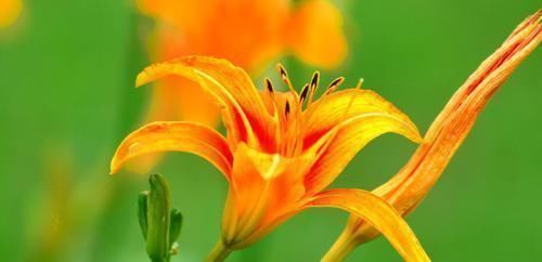 地球 宇宙最大天体被发现,质量是地球的2万万亿倍,体积是太阳的2亿亿倍