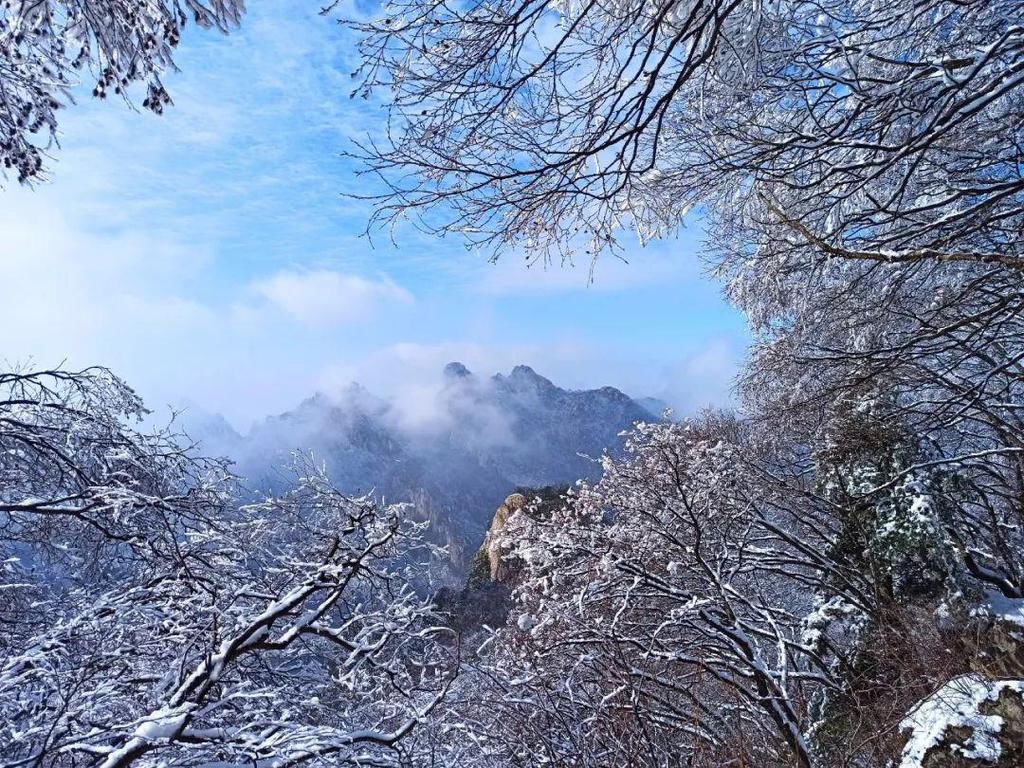 误入|点赞破百万的世界级雪景！雾凇云海，仿佛“误入天宫”！