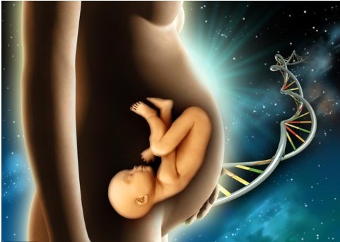 生活习惯|为什么父母高寿,孩子却短命我们的寿命是遗传决定的吗详解