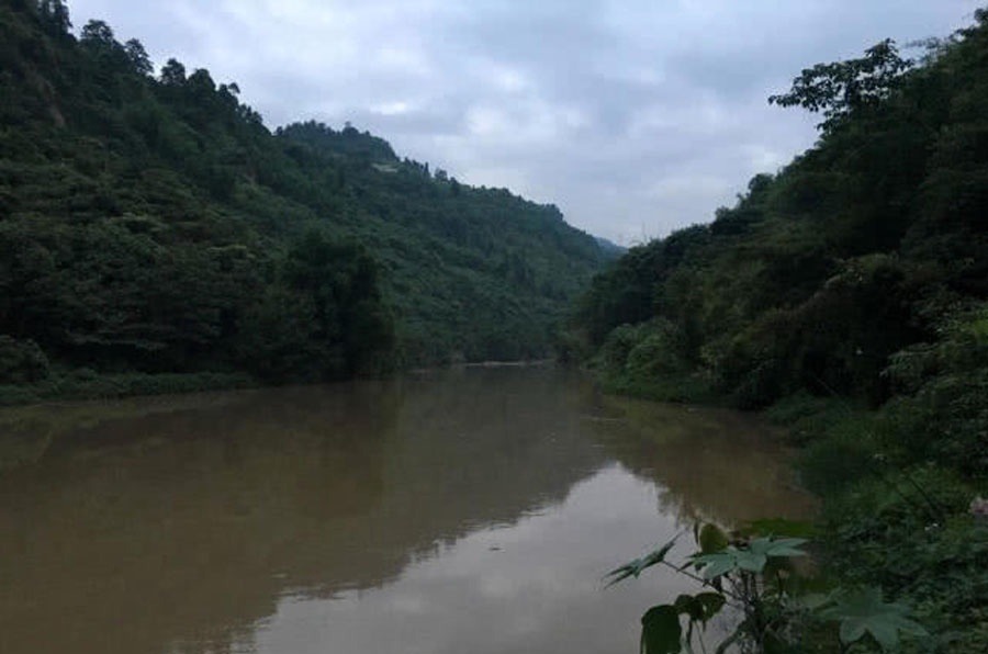 洪水过后去钓鱼，这么大的黄颡鱼，还是头一次钓获