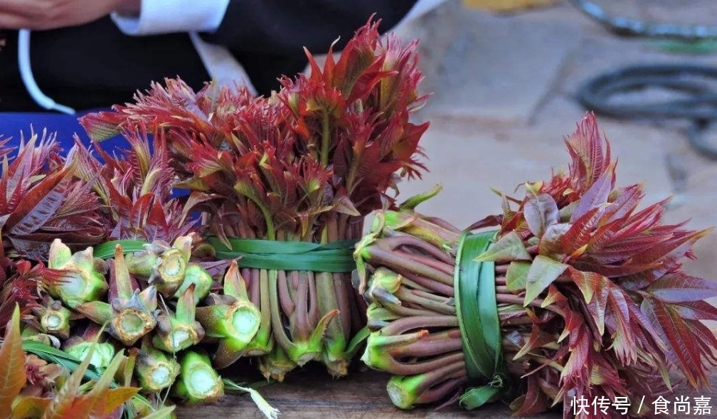 吃香椿,焯水还是不焯水?别随便吃,和大厨学正确做法,又香又嫩