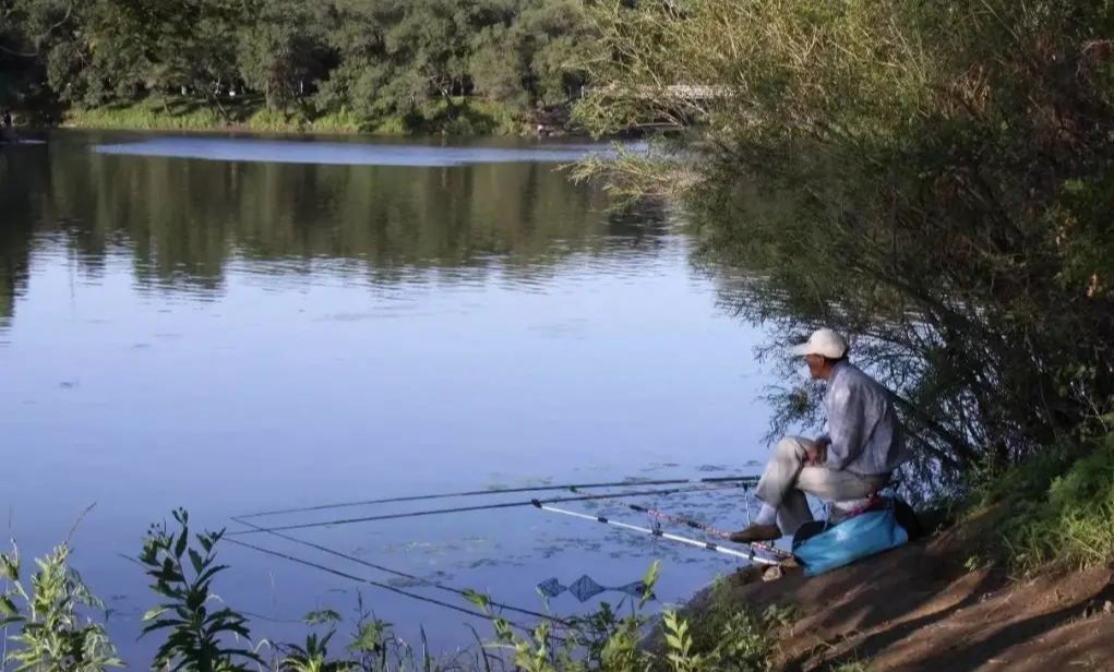 窝子|最简单的窝头钓饵，是草鱼就逃不过这味
