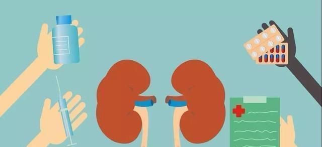 肾病治不好肾虚就得大补关于肾病的7个误区,一定得记住了