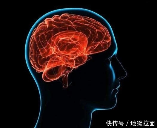  堵塞|脑血管不是突然堵塞的，3件事少做，4样东西少碰，血管不易堵死