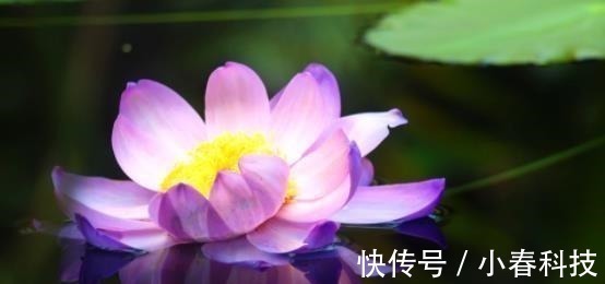 弱点!这五种事,烂在肚子里也不能对别人说,避免惹祸