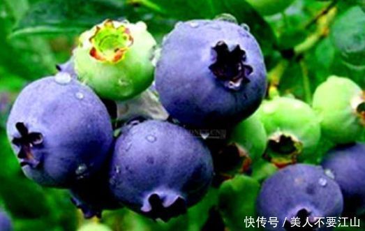 想长寿要先会吃,3种食物不能少,补充营养,身体棒棒哒