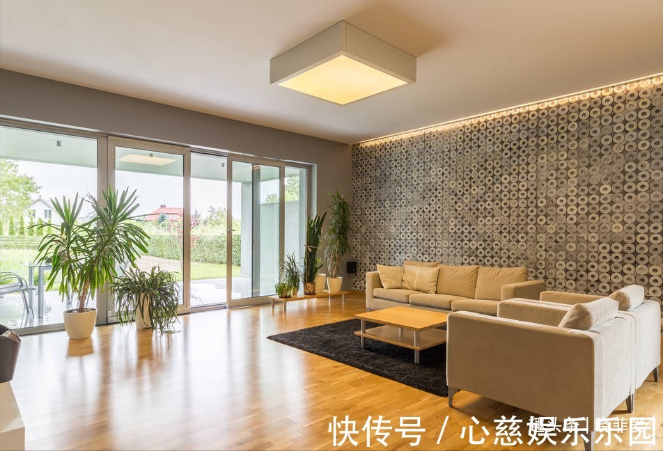 客厅养花不宜多！12种“吉祥花”任选一种，寓意好“养人”还旺家