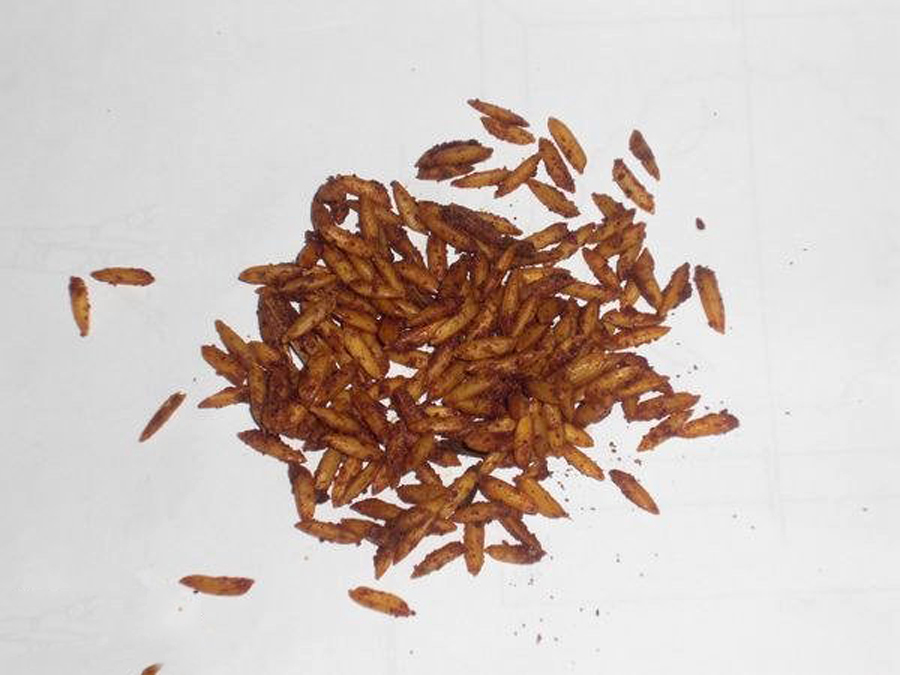 用起来简单，也就三招，老大爷传授的“臭谷子”钓法，专攻大鲤鱼