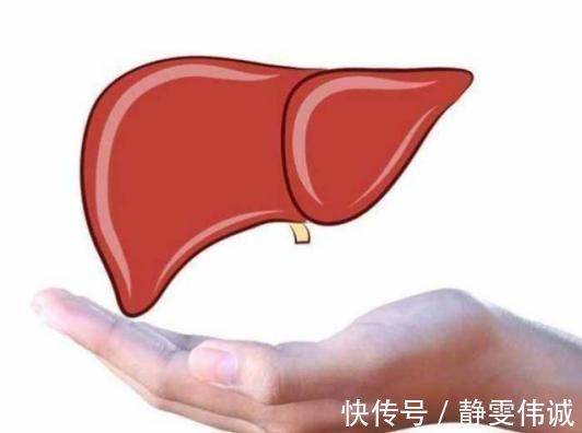 肝細胞|手掌出現的這個紋，居然是肝癌前兆肝臟發出的5個“求救”信號，別知道的太晚