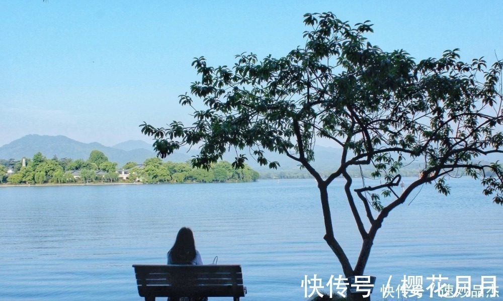 增广贤文#悟:人这一辈子,悟透这四个字就悟透了一生