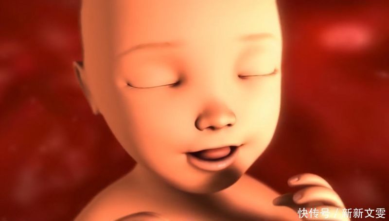 胎儿|孕妈玩手机时,胎儿在肚子里有什么变化看完才知母子连心的神奇