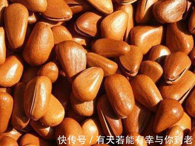 板栗|这些零食,孩子吃后不仅聪明且个子高,但很多父母却不让孩子吃