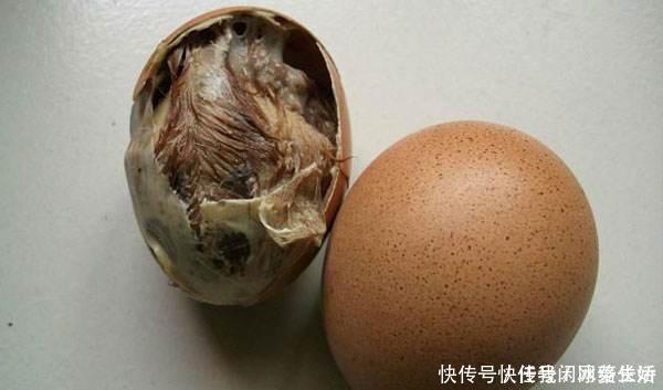 毛蛋用什么料煮着好吃