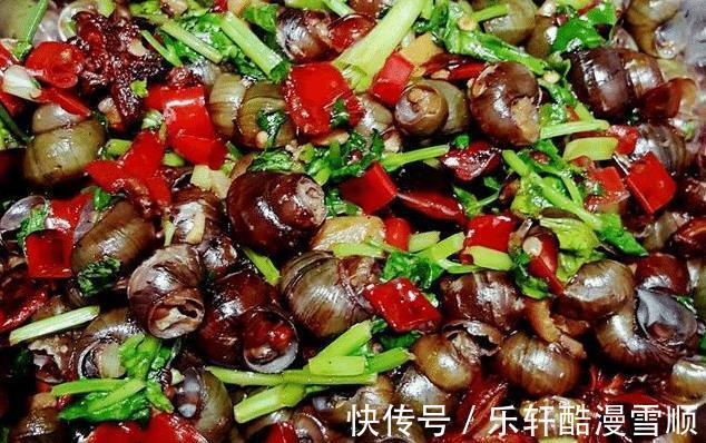 田螺|买田螺自己炒，汤汁鲜美，跟家人一起嗦美味的田螺