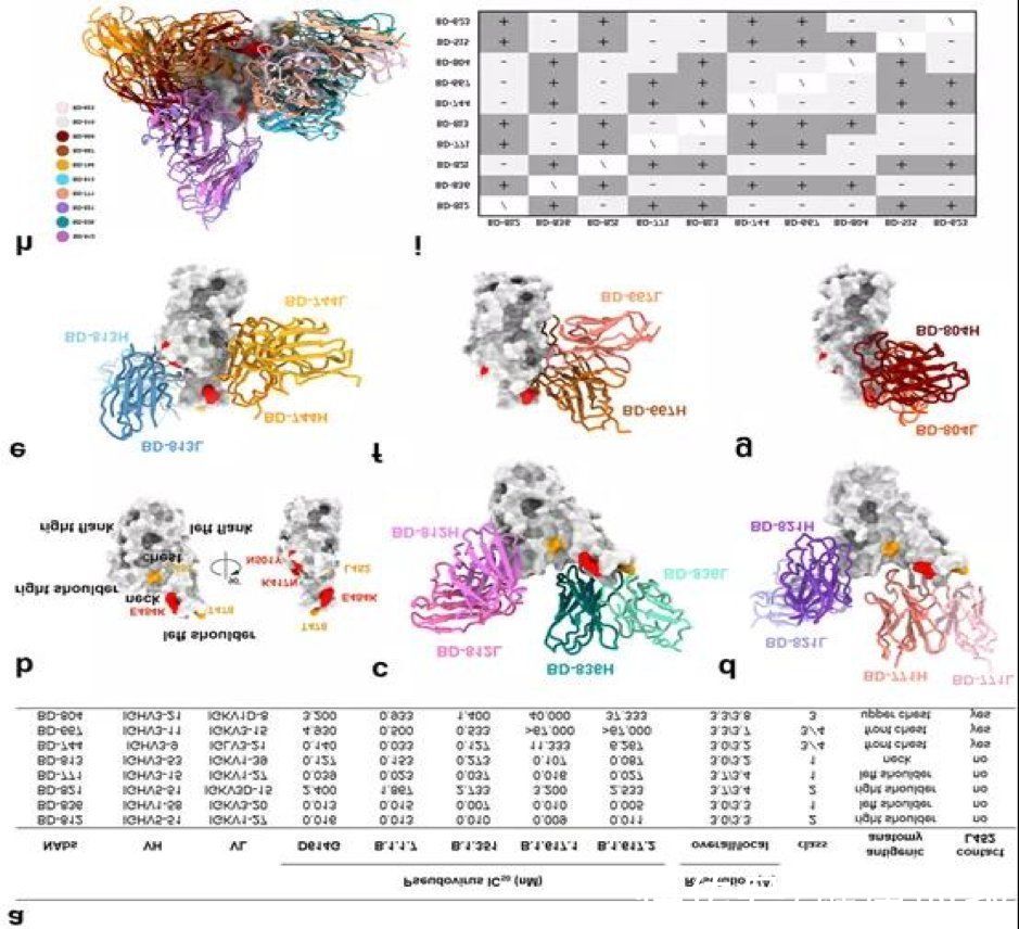临床研究|国内多款新冠药物在研，最快12月上市