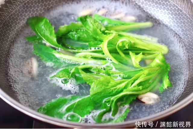 白菜|百菜不如白菜,遇见这种“白菜”别错过,别看小,营养价值巨高