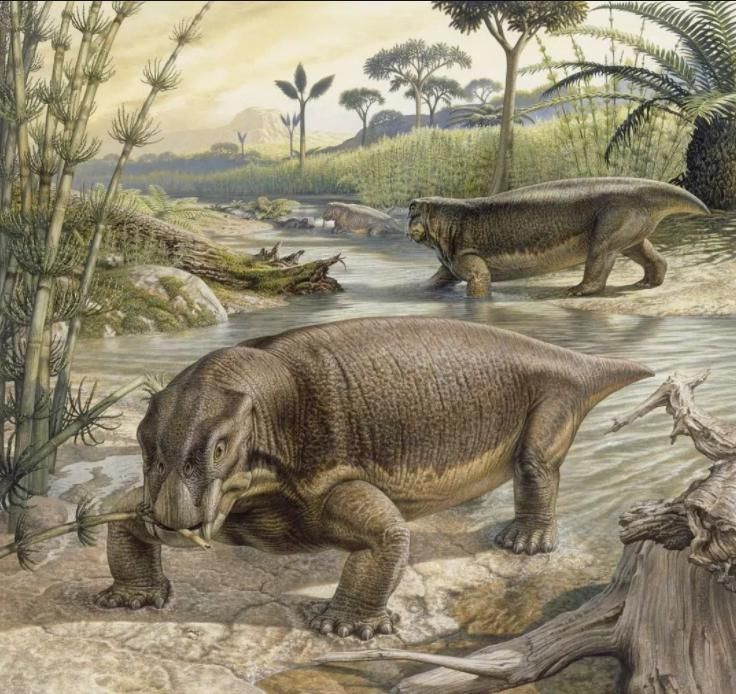 如果地球迎来一场持续10000年的雨,对人类有什么影响