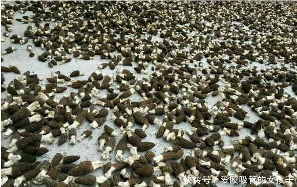 旅游瞎拍竟发现一片皱巴巴东西,一查竟是满满的财富!