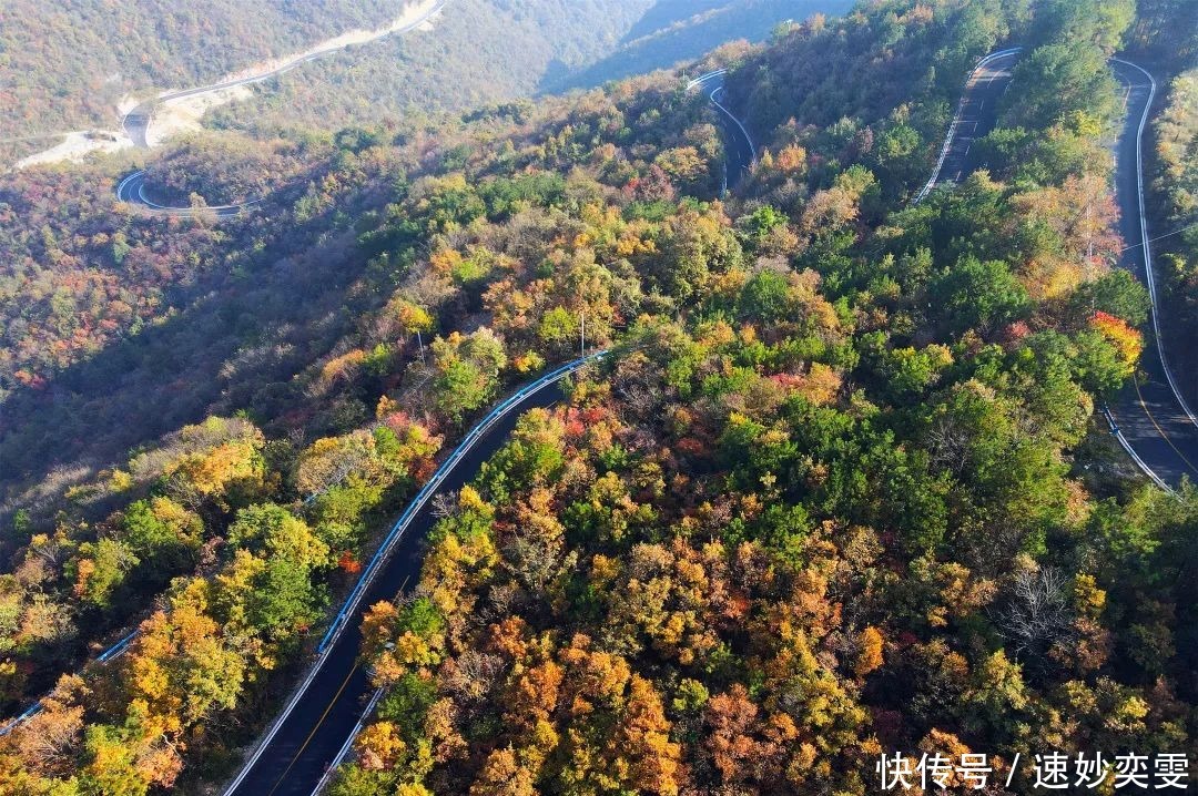 公路|这条藏在远安的旅游公路，惊艳了秋天，美成了童话