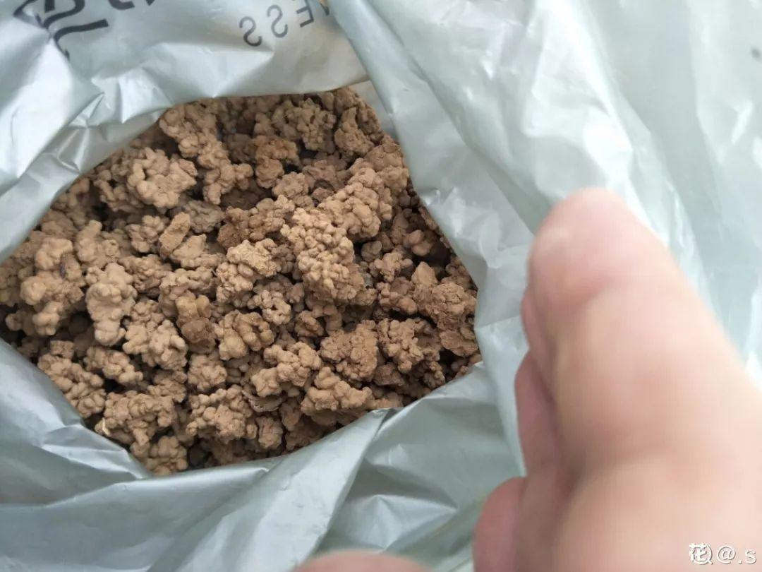 盆土硬成大疙瘩,浇点松土剂,立马软得像发糕!