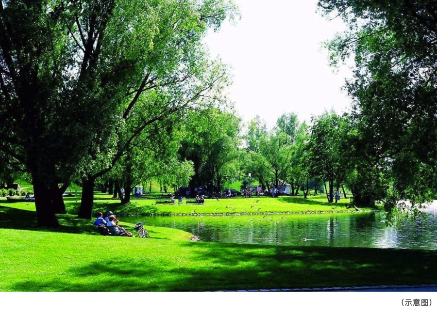 北宸之光|碧桂园·北宸之光 ▏一座城的礼遇,尽享醇熟配套